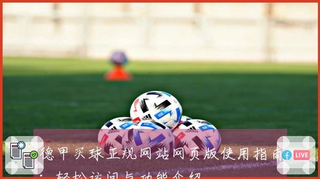 德甲买球正规网站网页版使用指南：轻松访问与功能介绍