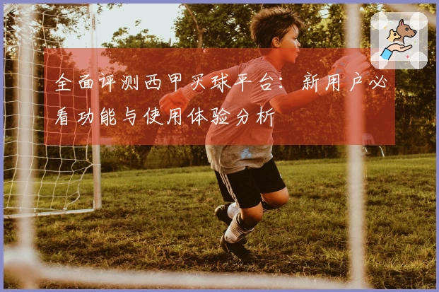 全面评测西甲买球平台：新用户必看功能与使用体验分析