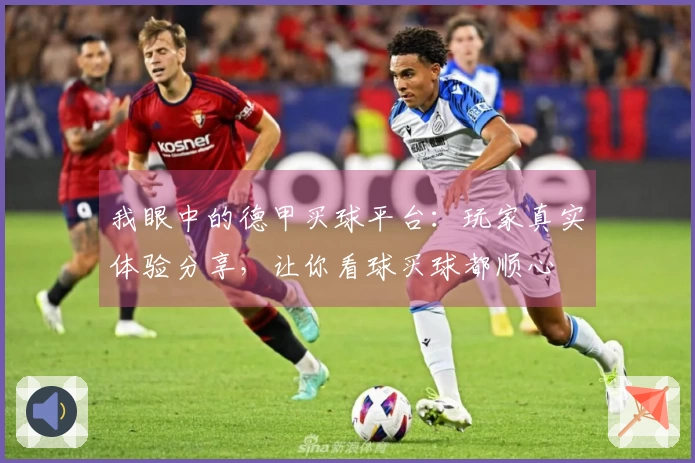 我眼中的德甲买球平台：玩家真实体验分享，让你看球买球都顺心