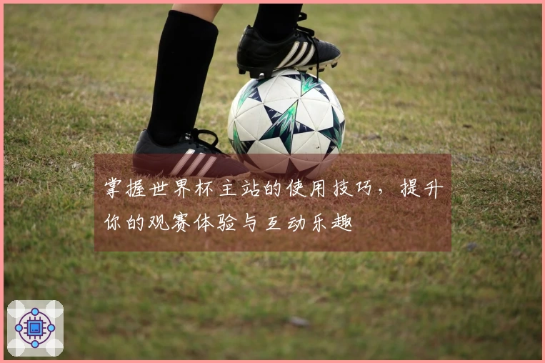 掌握世界杯主站的使用技巧，提升你的观赛体验与互动乐趣